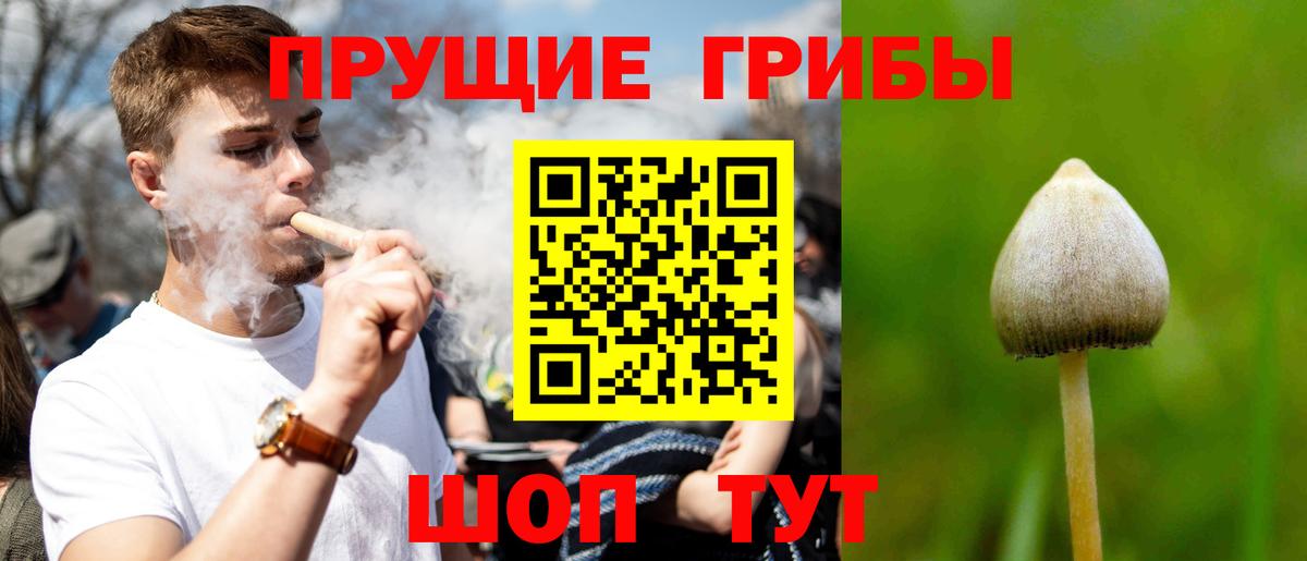 Псилоцибиновые грибы Cubensis Еманжелинск